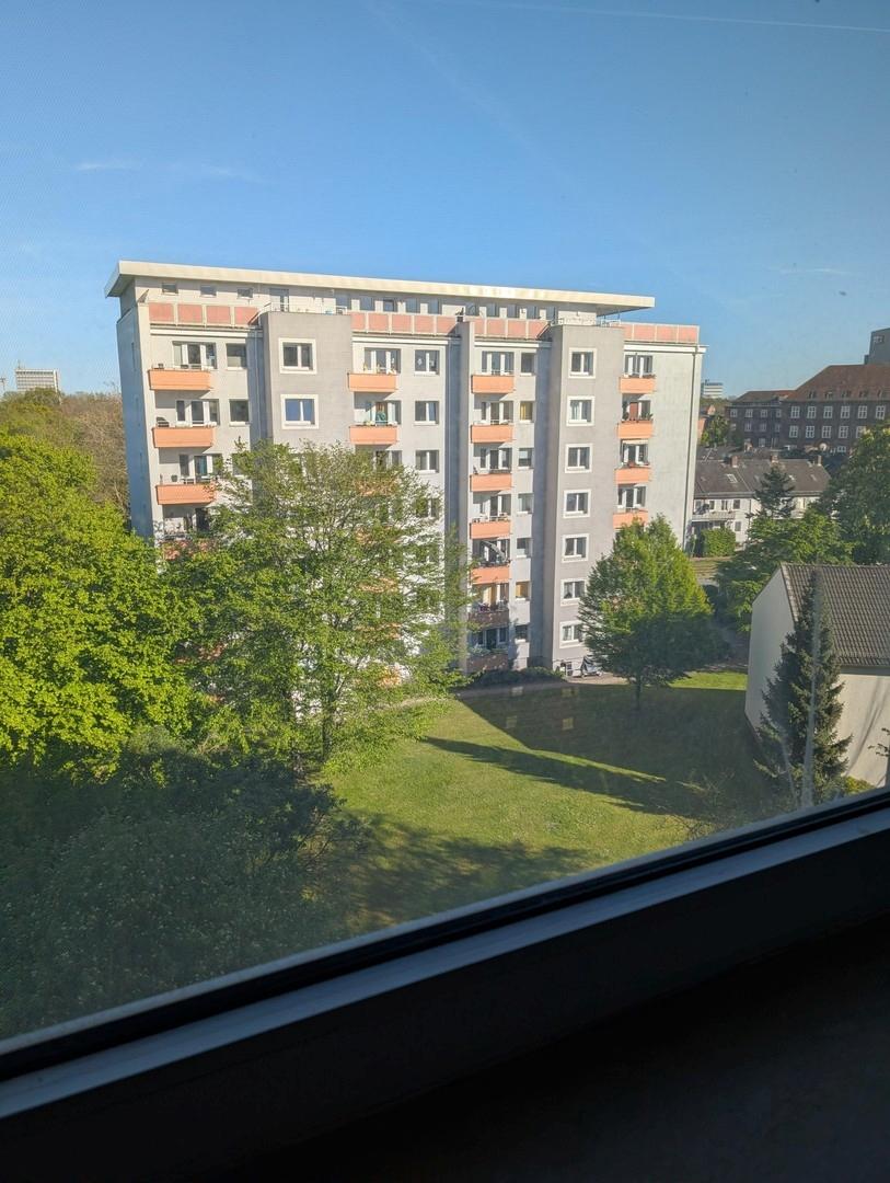 Blick ins Grüne