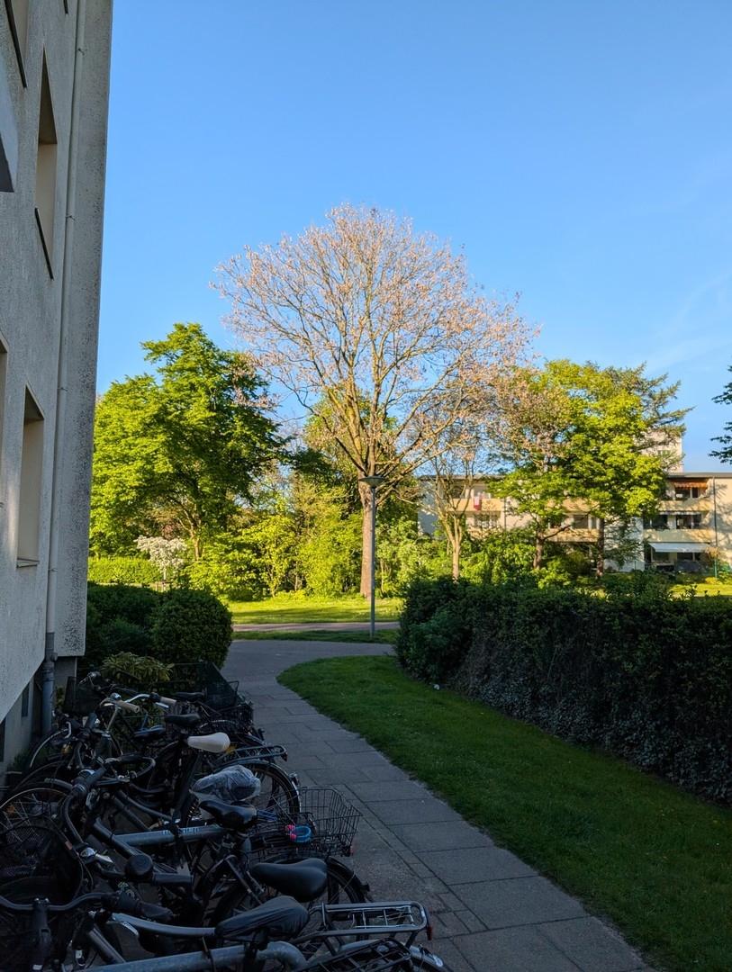 Wohnen im Grünen