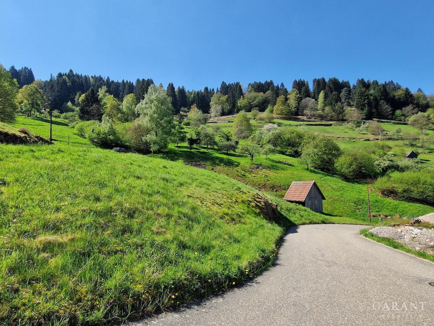 ... so schön ist es fast direkt vor der Haustür