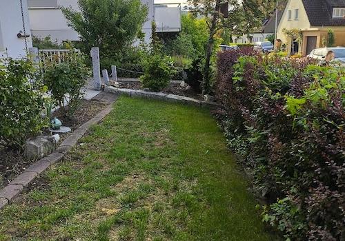 Garten 2