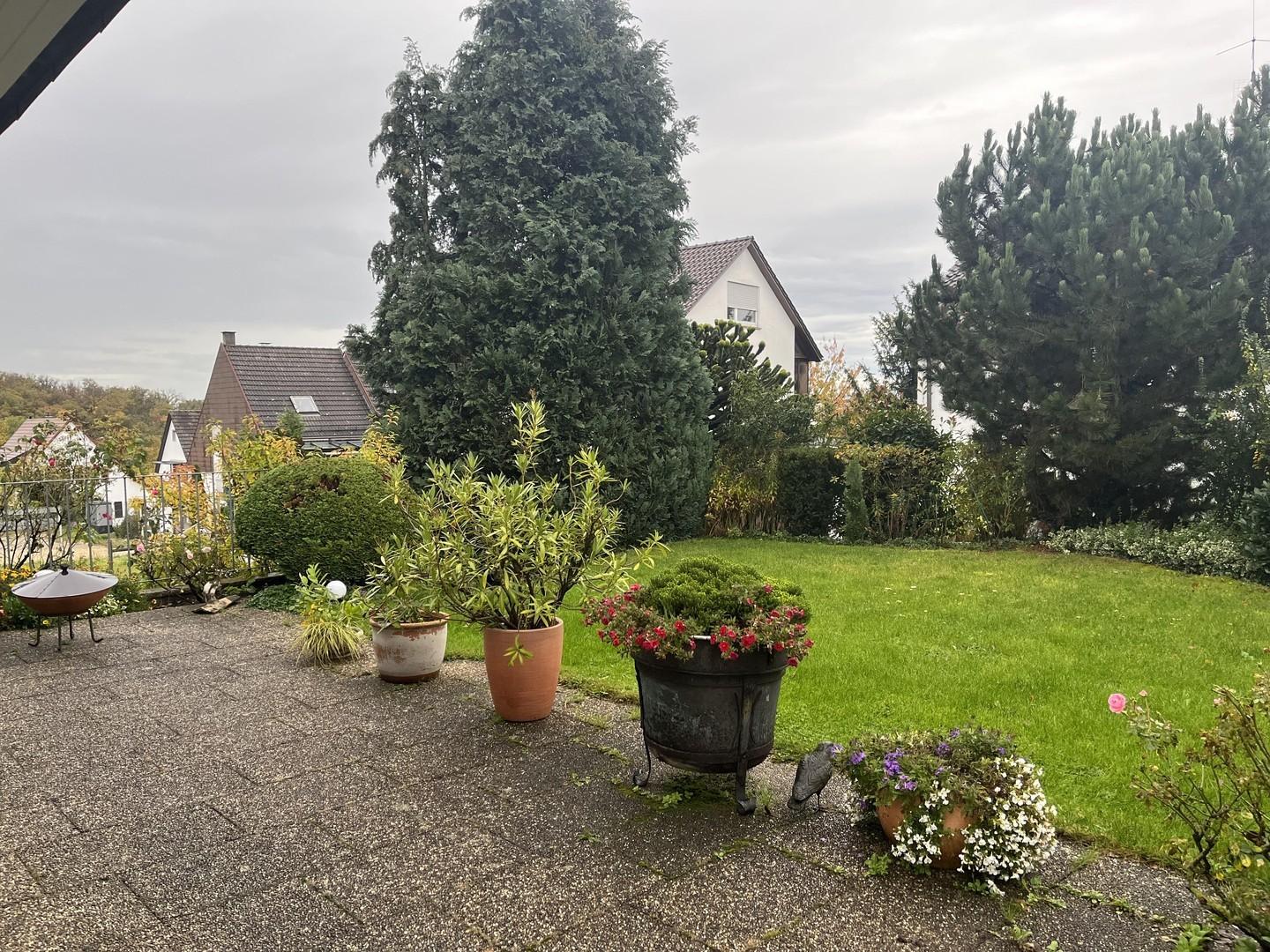 Terrasse 1