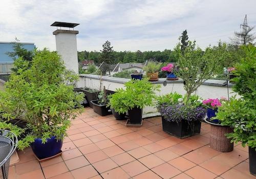 obere Terrasse links
