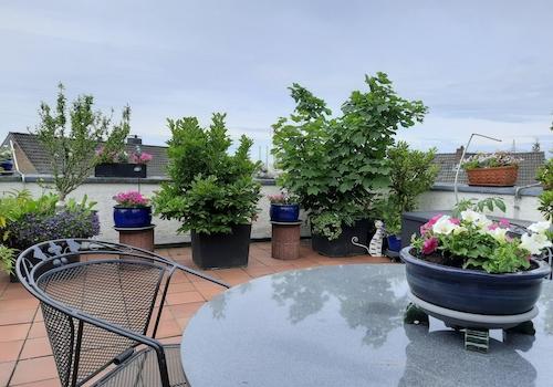obere Terrasse rechts 