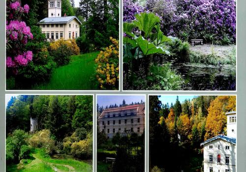 Rhododendronpark mit Villa