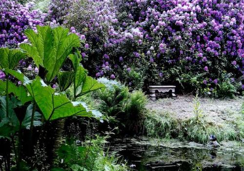 Rhododendronpark