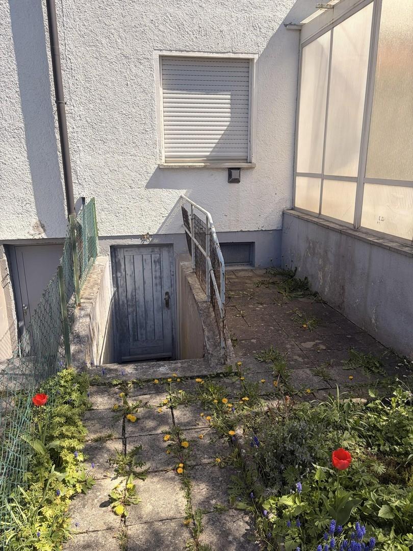 Kellerabgang Garten
