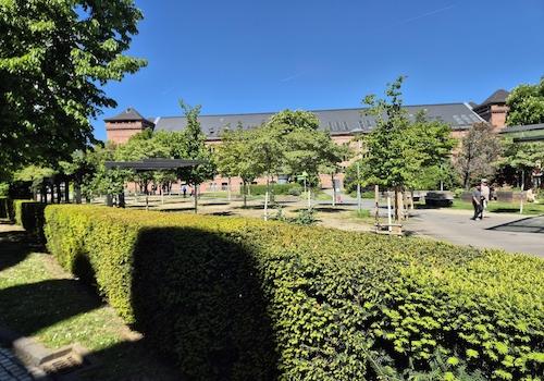 direkt vor dem Haus