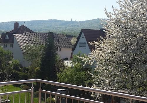 Kirschenblüte vor dem Herkules