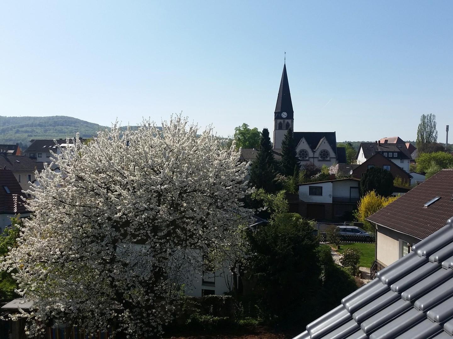 Kirschbaumblüte vom Spitzboden