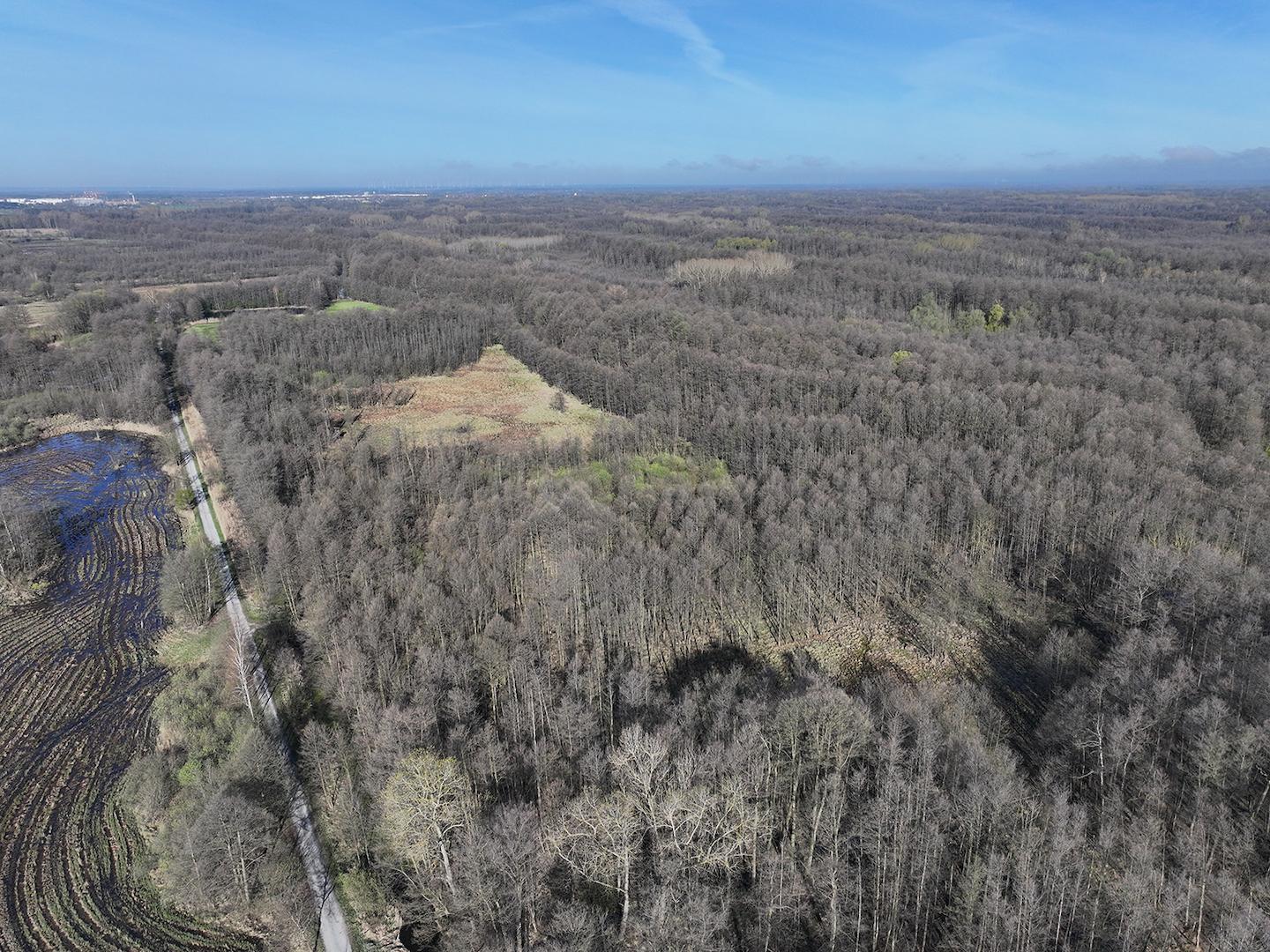 Blick Richtung Westen 