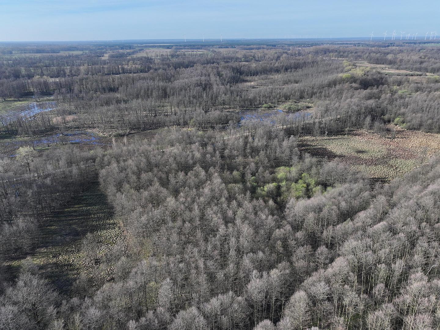 Blick Richtung Süd-West 