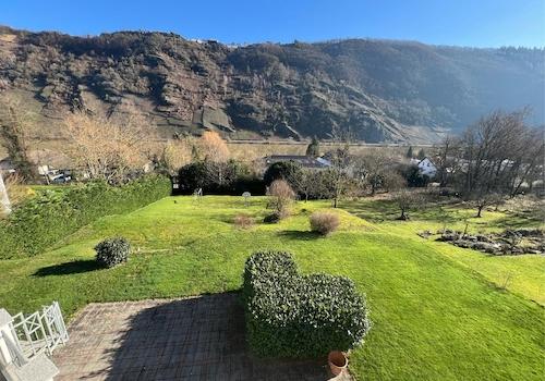 Blick in den Garten