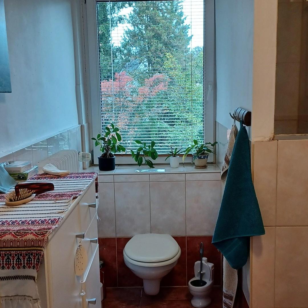 Bad WC