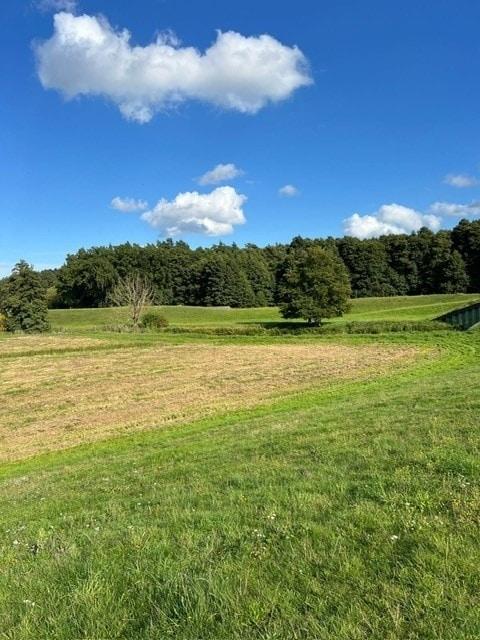 Wiese 6