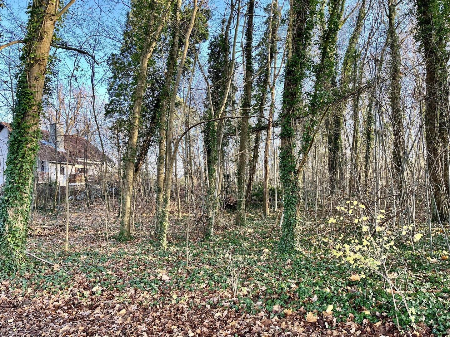 Grundstück
