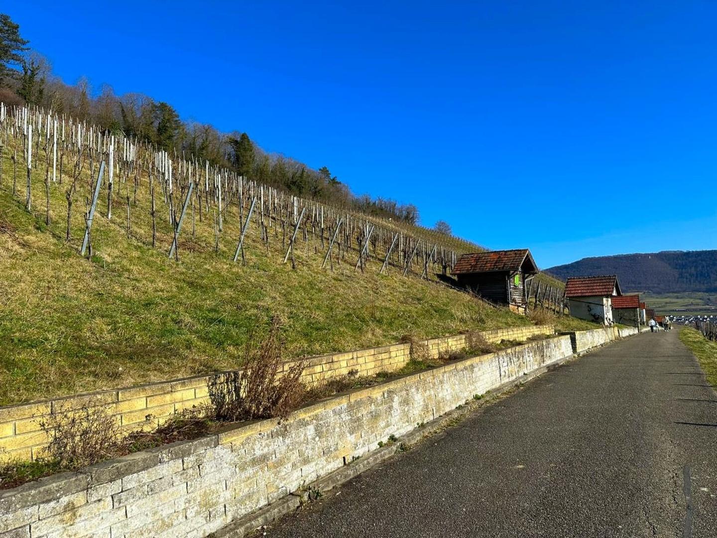 Landschaft