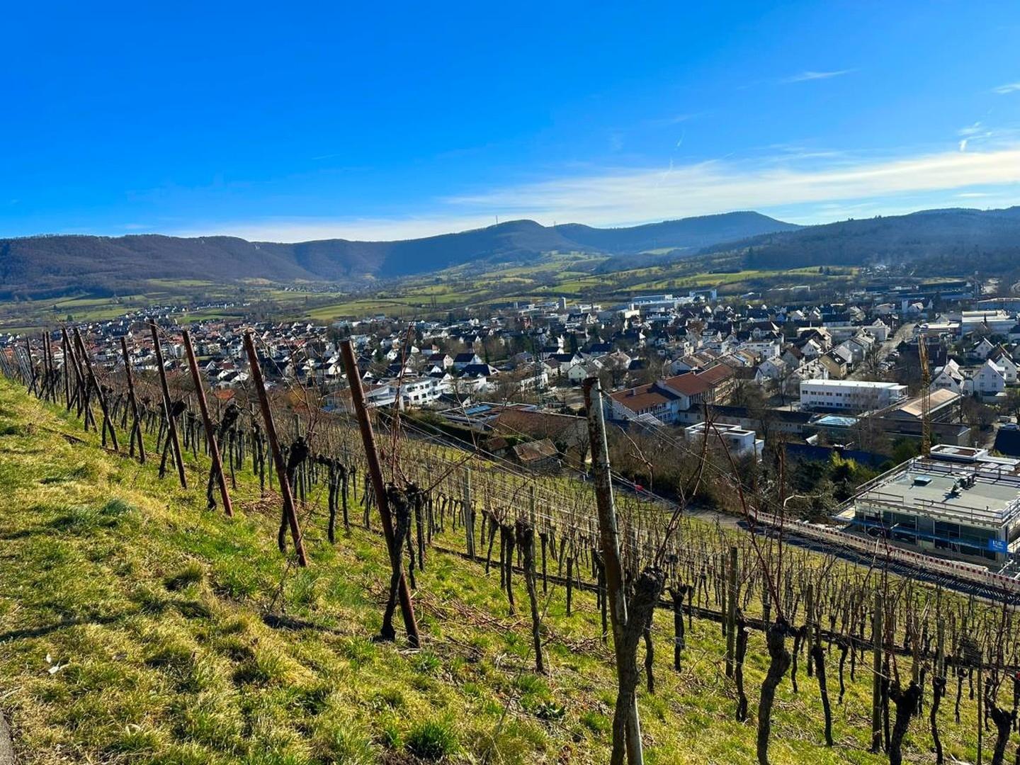 Landschaft