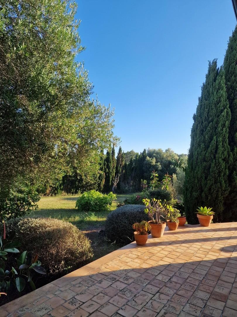 Garten im Süden