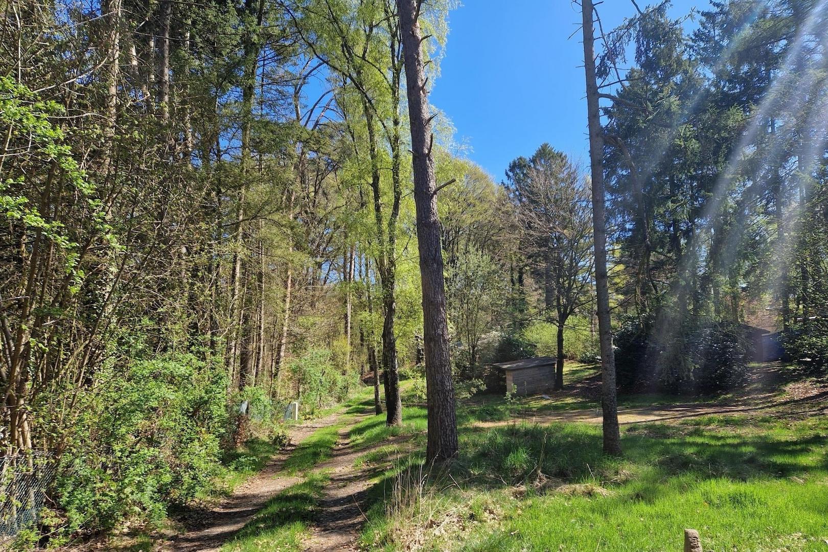 Blick auf das Grundstück