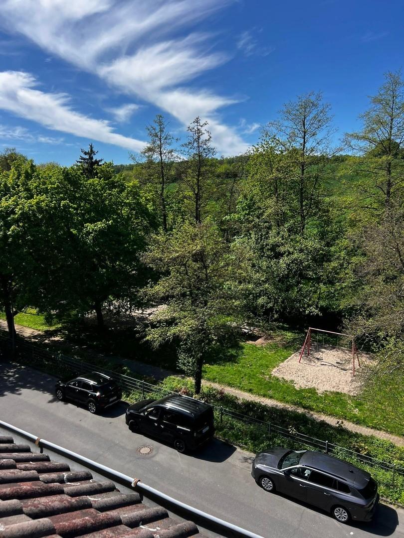 Ausblick ins Grüne