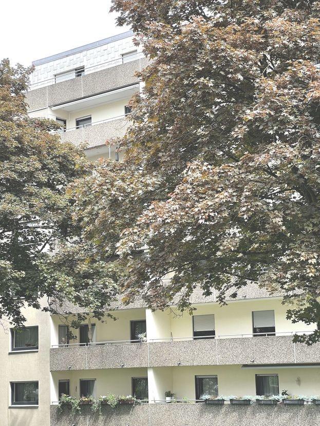 Gartenansicht
