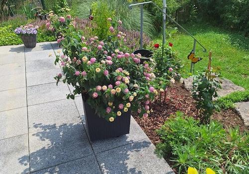 Gartenimpressionen