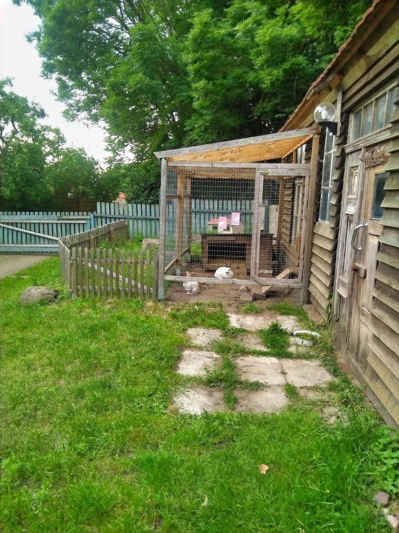 Gehege am Stall