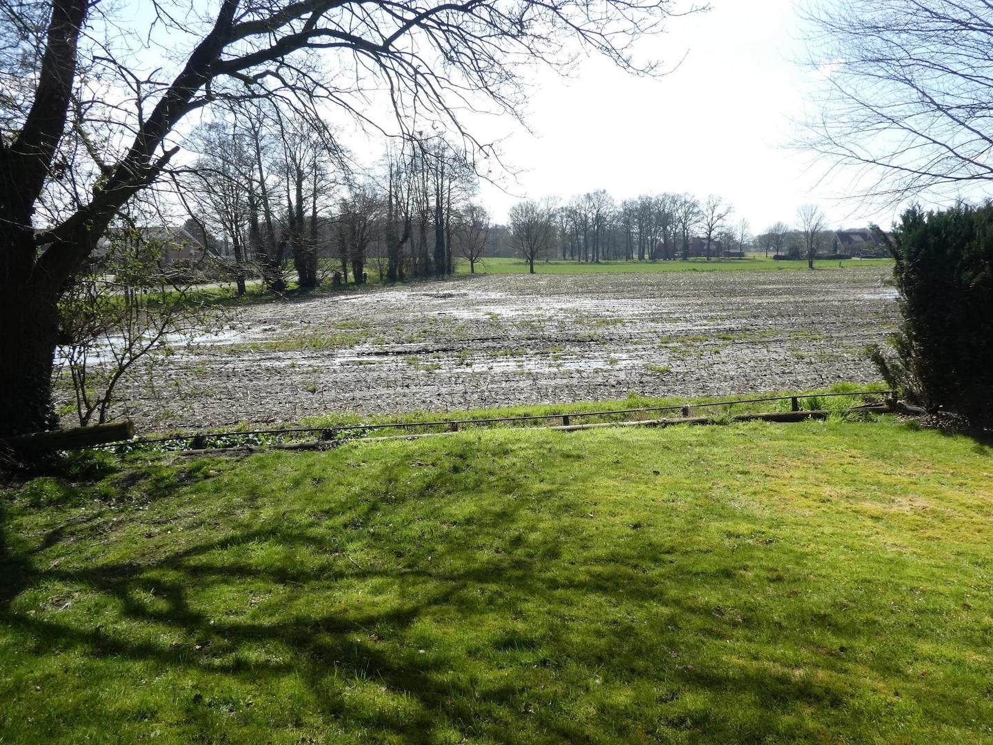 Blick in die Natur