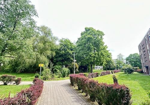 Umfeld