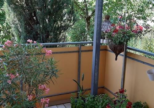 Terrasse Erdgeschoss