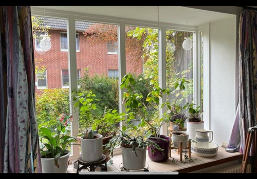 Blumenfenster im Esszimmer
