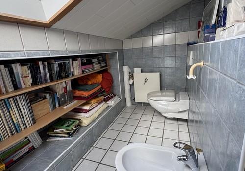 Toilettenraum DG