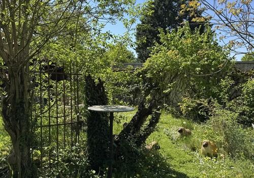 Garten