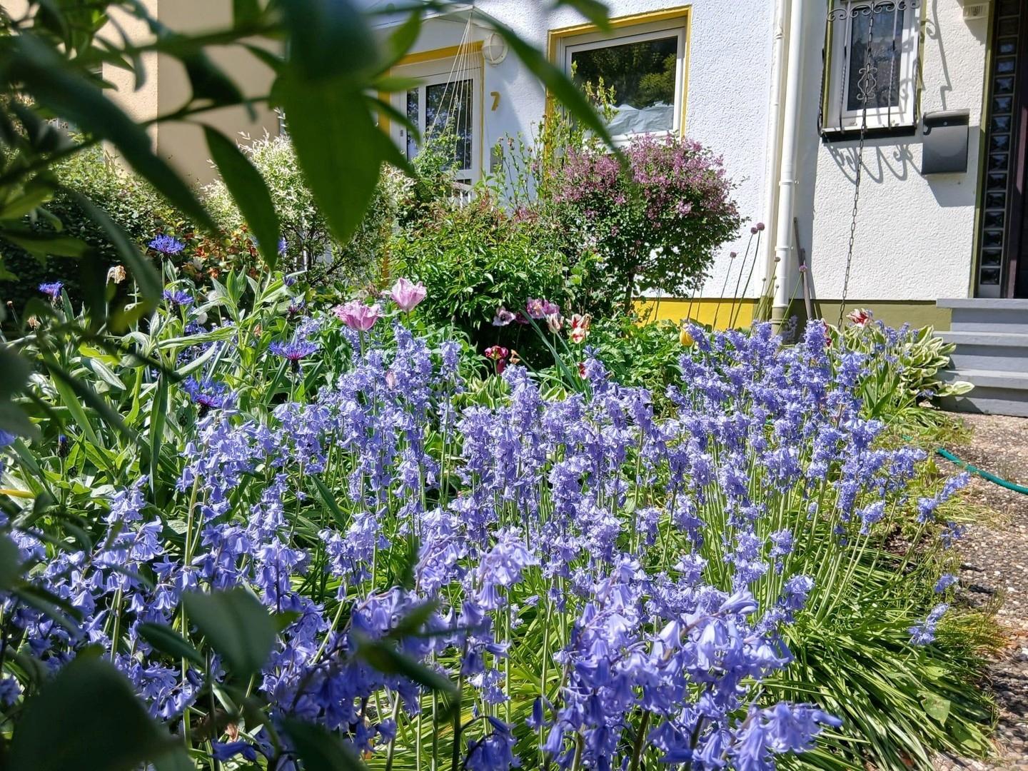 Vorgarten