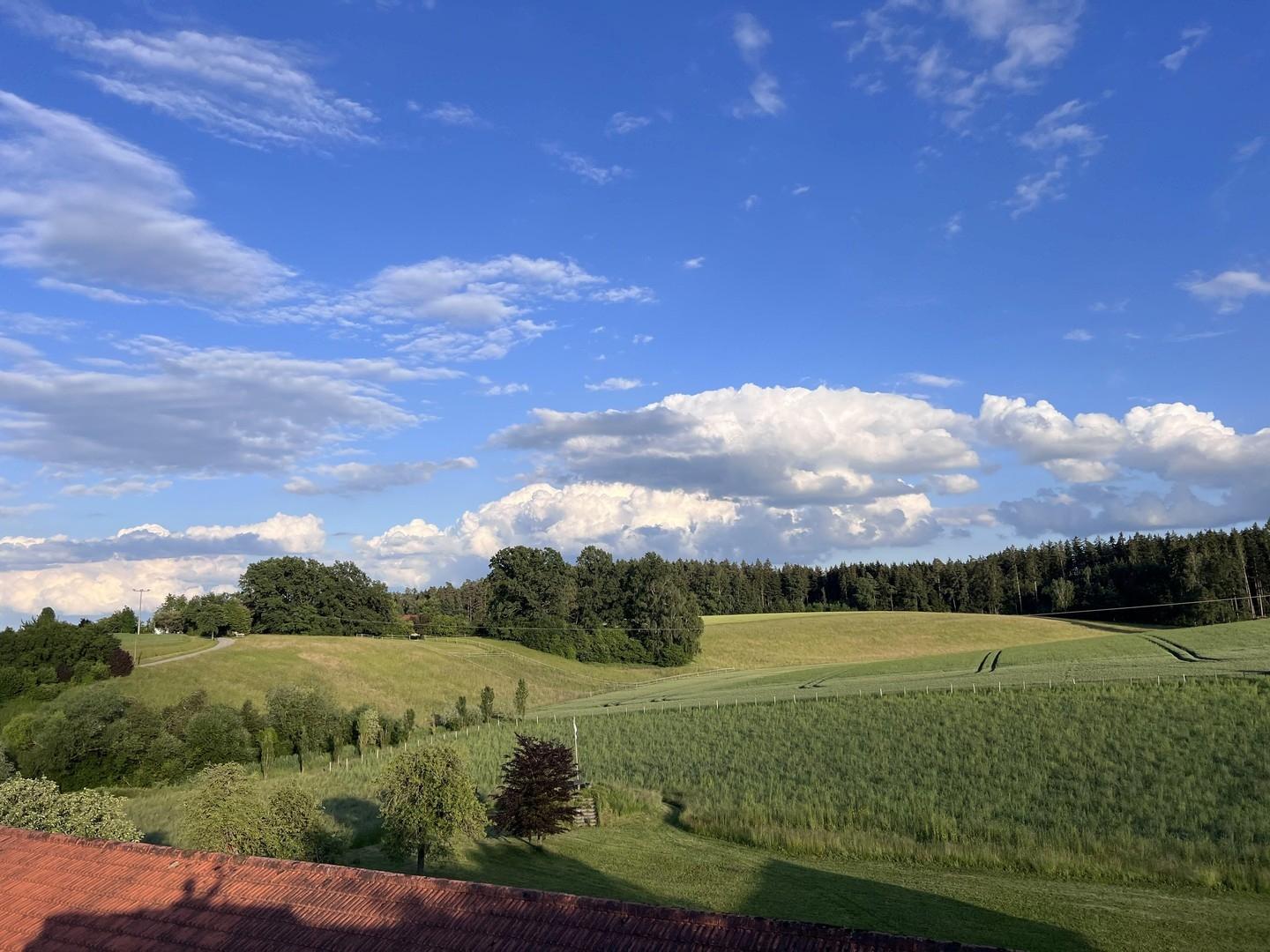 Blick vom Siloturm