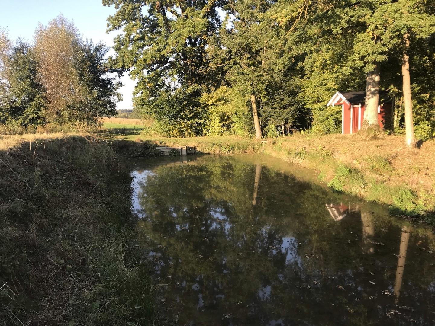 Weiher mit Fischerhäuschen