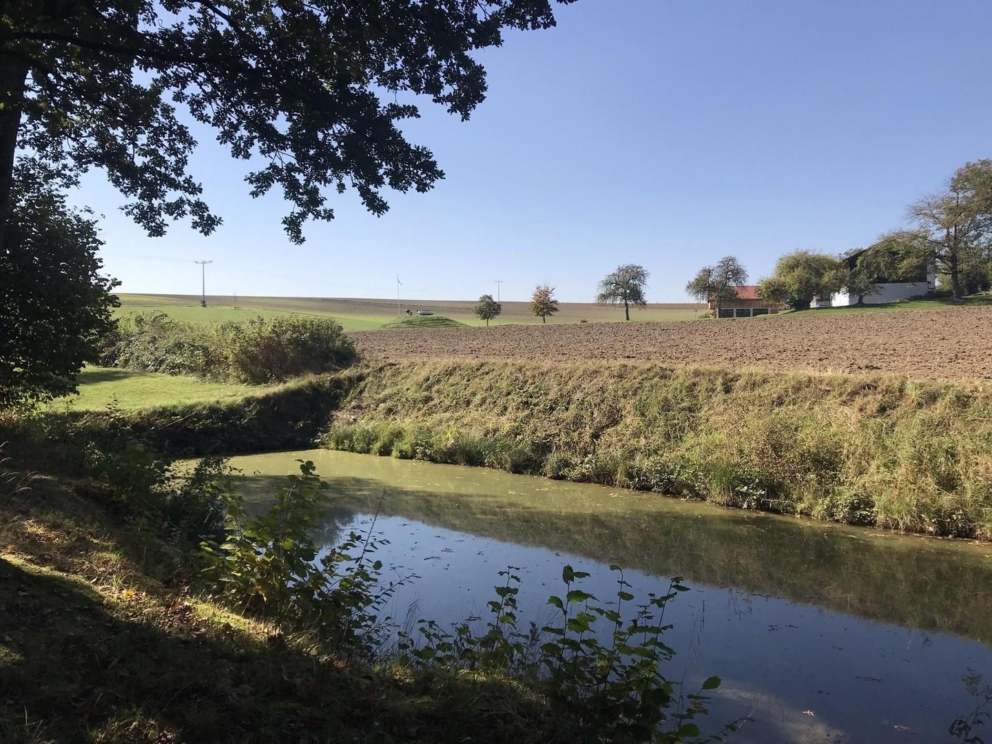 Blick vom Weiher auf den Hof