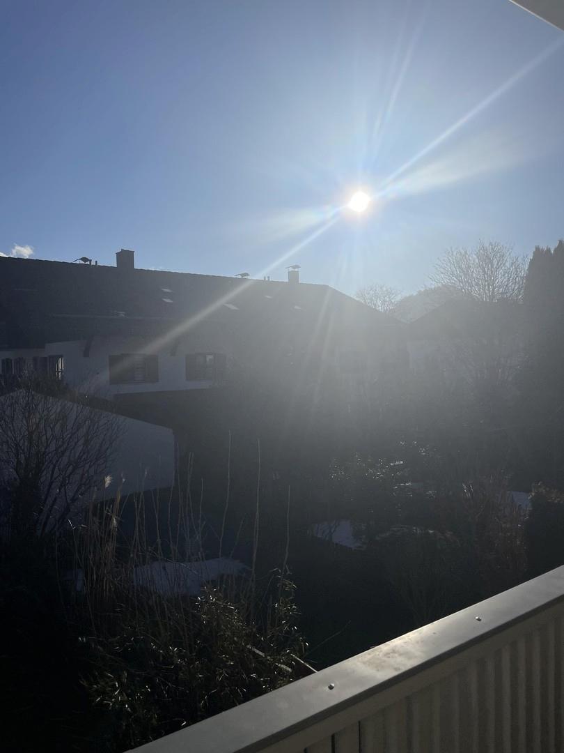 Sonnenblick vom Garten