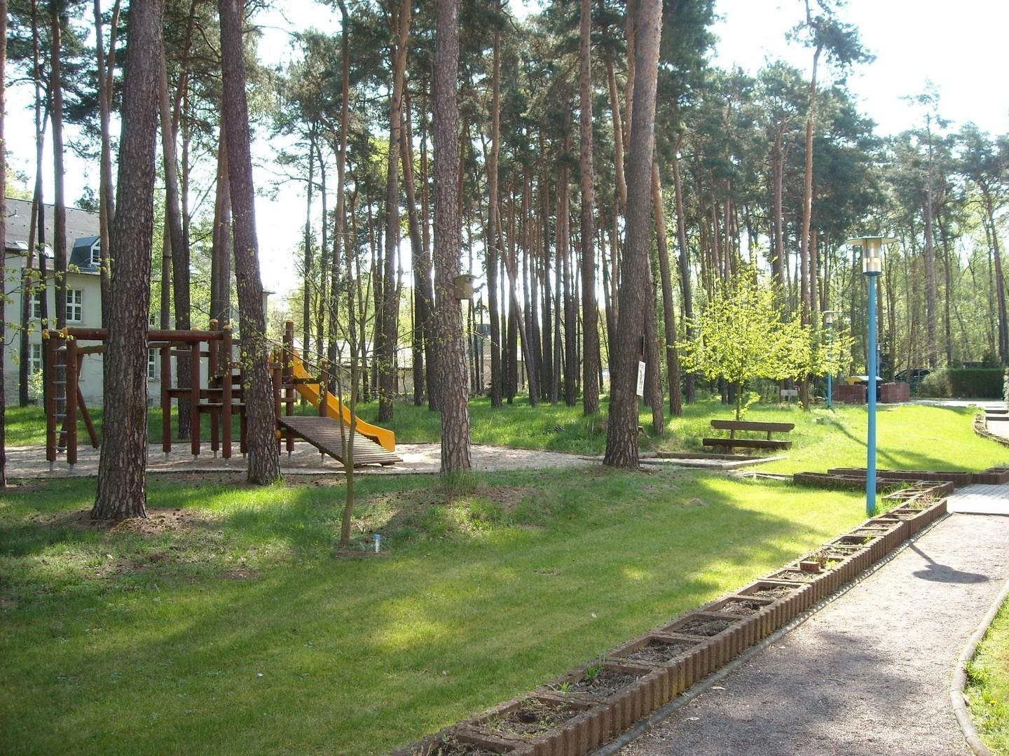 Waldansicht