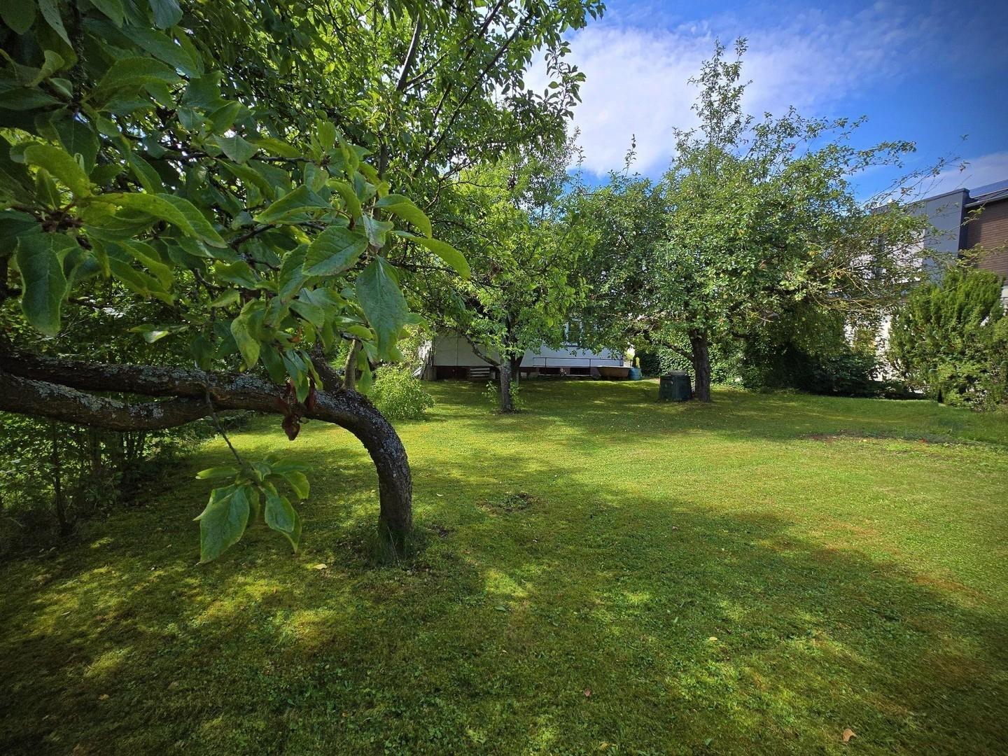 Rückseite mit Garten