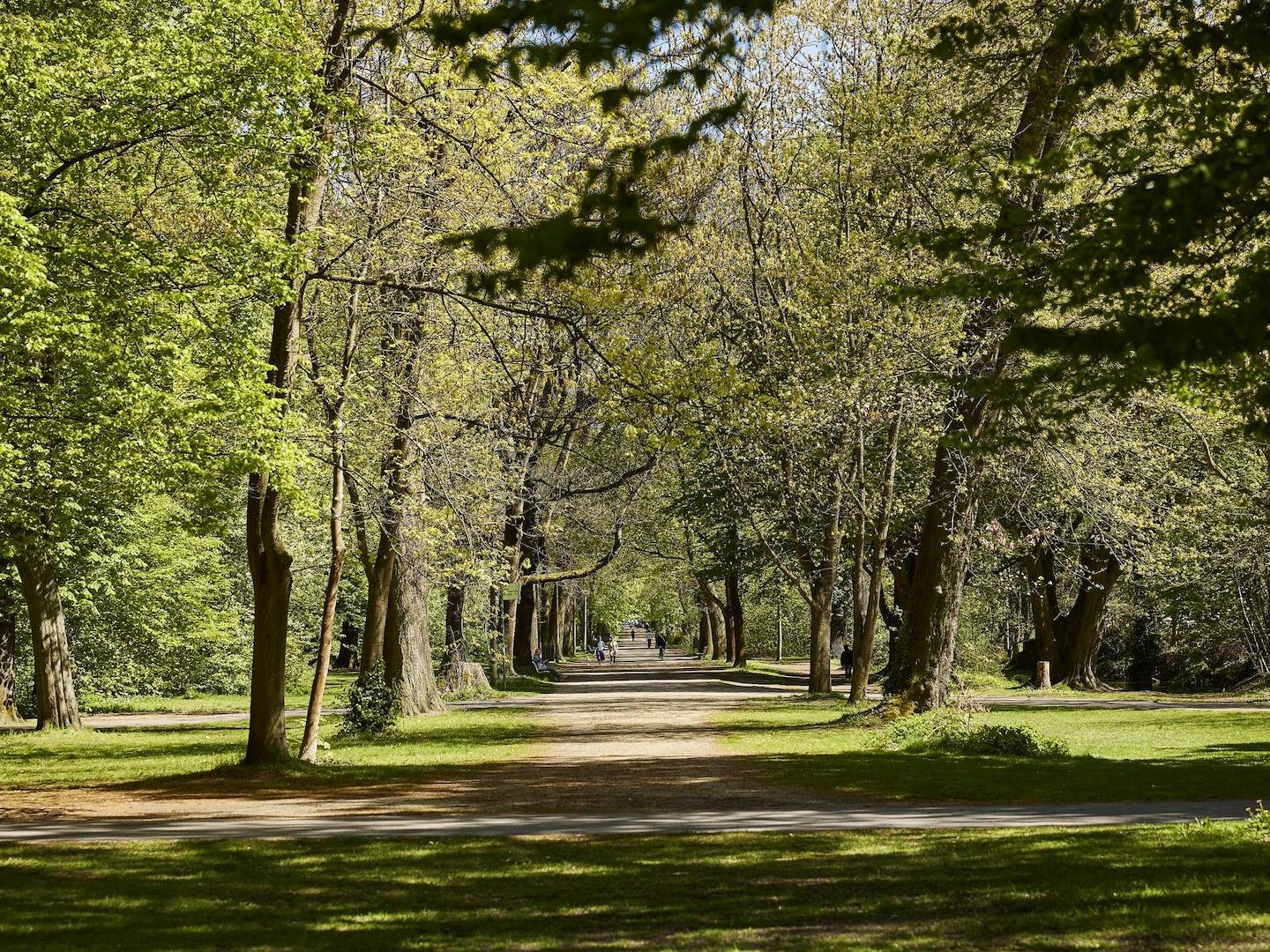 Spazierweg im Park