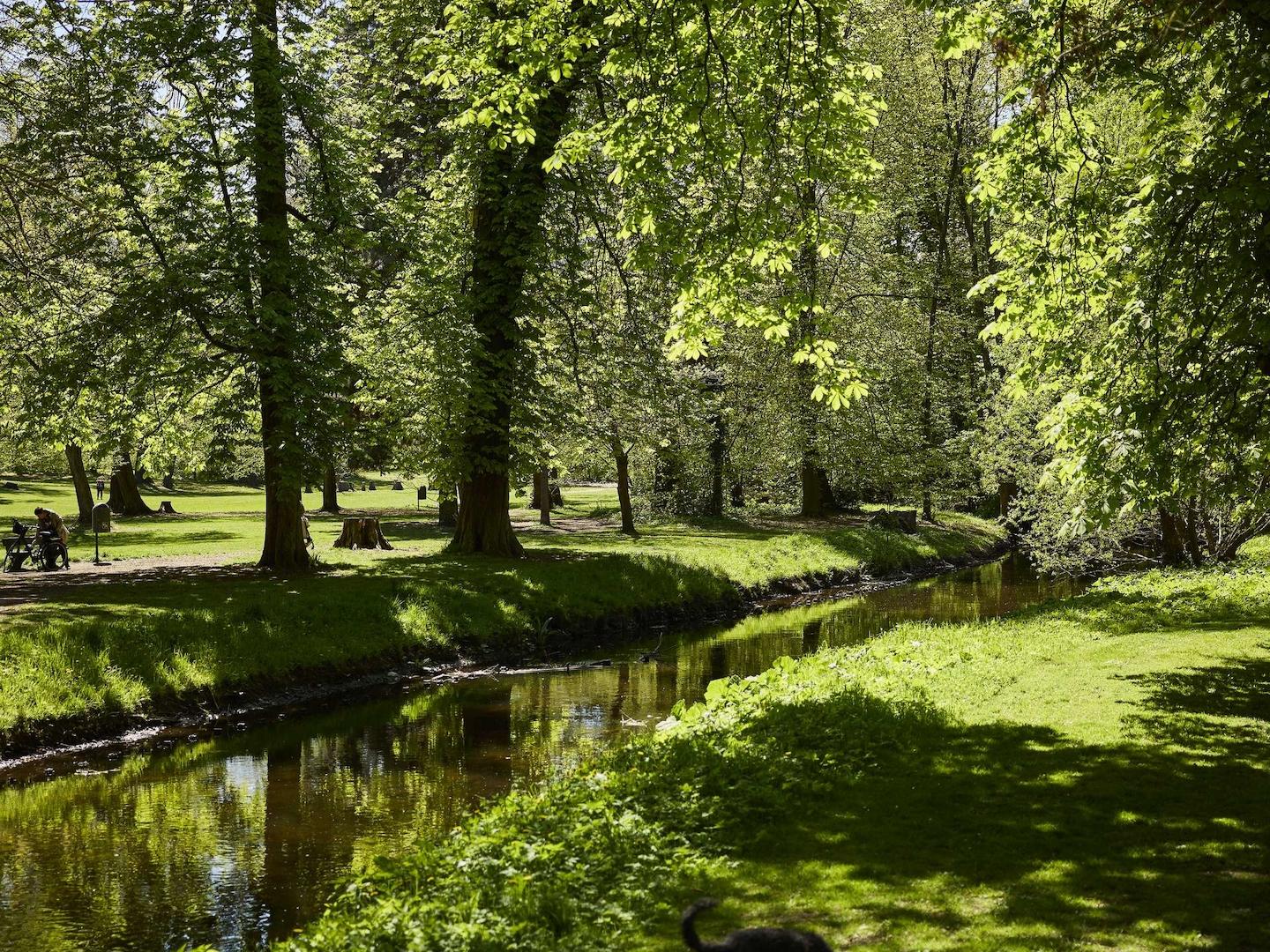 Park