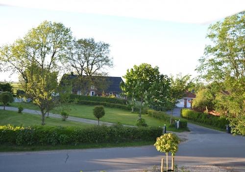Gepflegte Umgebung