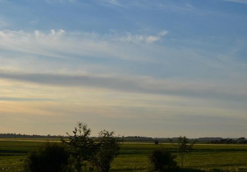 Landschaft