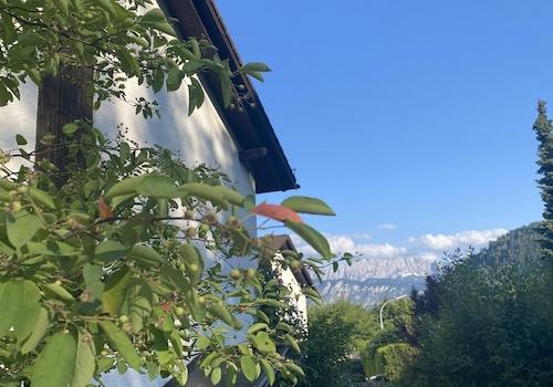 Bergblick