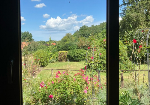 Blick aus dem Küchenfenster