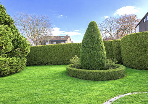 Garten nach Süden