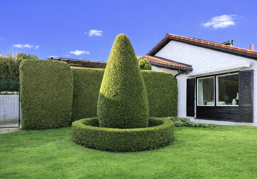 Garten nach Norden