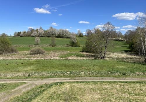 Ausblick in die Natur