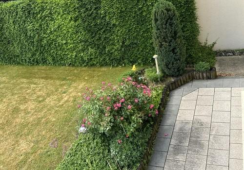 Blick vom Haus ins Grüne